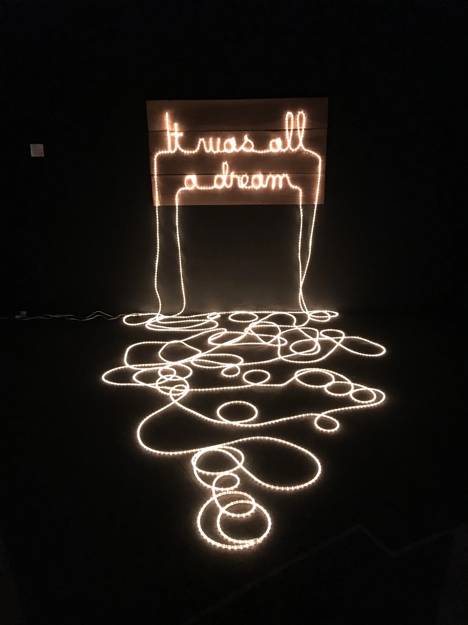 Rope Light Installation by artist Chris Neria